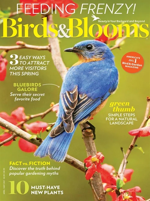 Birds & Blooms -lehti