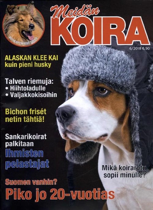 Meidän Koira lehti