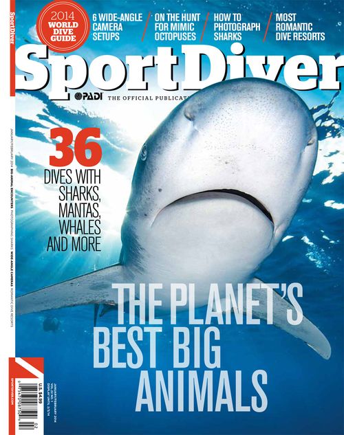 Sport Diver lehti